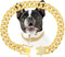 Gold Dog Chain Collar, Diamond Gold Chain Walking Metal Collar with Secure Buckle for Small, Medium, and Large Dogs