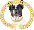 Gold Dog Chain Collar, Diamond Gold Chain Walking Metal Collar with Secure Buckle for Small, Medium, and Large Dogs