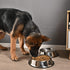 2 Packs Stainless Steel Dog Bowl | Anti-Skid Rubber Base for Small/Medium/Large Pets | Perfect Dish for Dog, Puppy,