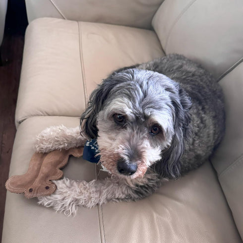 SPOT 8in Dura-Fused Leather Squirrel Dog Toy Real Leather & Jute Fabric, Double-Stitched & Durable, Soft Stuffed