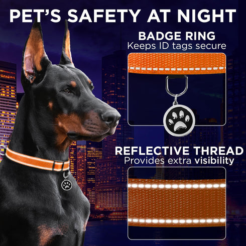 TECEUM Reflective Pet Collar – Orange L, Extra Soft Padding Basic Nylon Dog Collar with Quick Release Buckle