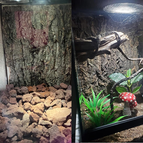 Tfwadmx 2Pcs Cork Terrarium Background, 11.8”x7.9” Natural Cork Bark Backdrop for Reptile Accessories