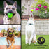 2.5 Inch Hyper Pet DuraSqueak Dog Ball Toy, Interactive Dog Toys that Float and Squeaks for Playing, Fetching