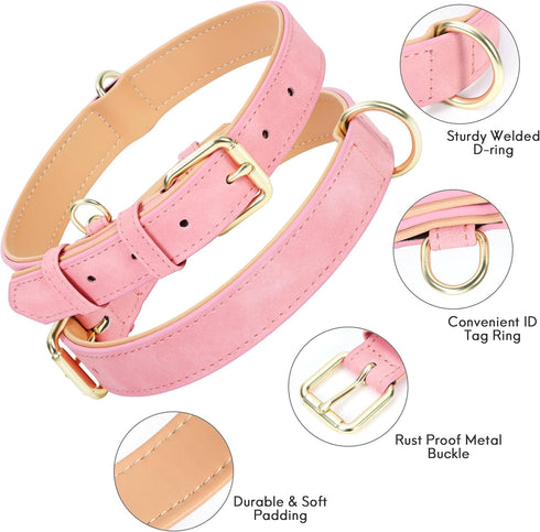 Soft Padded Leather Dog Collar for Small Medium Large Dogs, Durable & Comfortable with Heavy Duty Gold Buckle, Pink, S