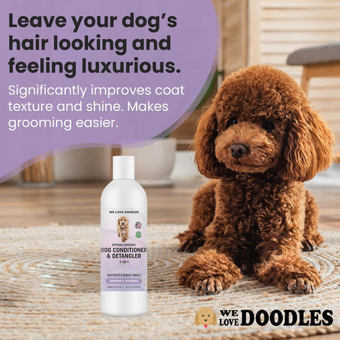 2-in-1 Goldendoodles,16oz We Love Doodles Dog Conditioner & Detangler, Conditioner for Allergies & Itching, Lavender