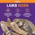 Icelandic+ Lamb Horn with Marrow - Small 4-5.5" Dog Chew, All-Natural Edible Treat for Puppies and Small Dogs