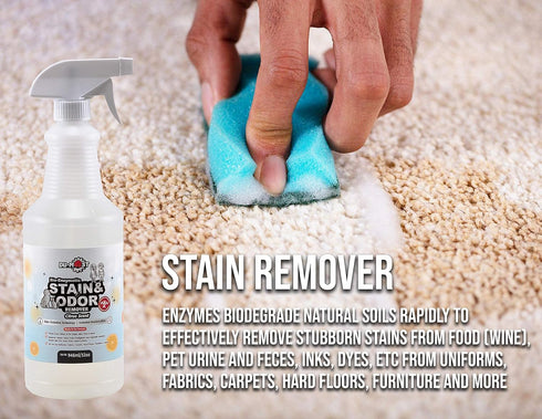 Bio-Enzymatic Stain & Odor Remover, Professional-Grade & Biodegradable, 32 Oz for Pet Urine, Wine, Ink, Fabric Cleaning
