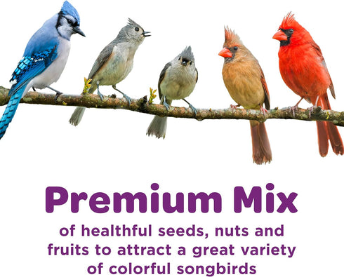 5 lb Kaytee Nut & Fruit Wild Bird Seed