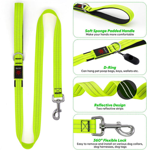 4 Ft LED Dog Leash, Waterproof Rechargeable Light Up Leash for Night Walking, Nylon Reflective with Padded Handle
