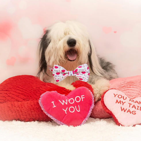 Valentine Dog Bow Tie Collar, Holiday Let's Kiss and XOXO Collar for Large Medium Small Pets Puppies (Large)