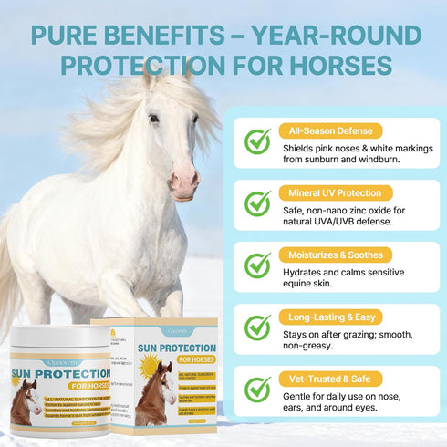 Qanoreth Seasons,8 oz Horse Sunscreen for Nose & Sensitive Pink Skin Natural Sunscreen for Horses with Non-Nano Zinc