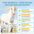 Qanoreth Seasons,8 oz Horse Sunscreen for Nose & Sensitive Pink Skin Natural Sunscreen for Horses with Non-Nano Zinc