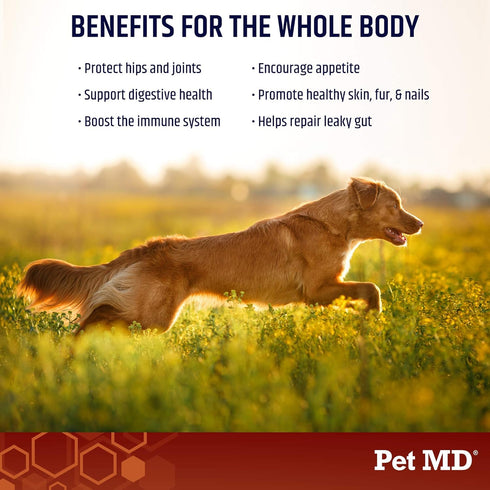 Pet MD Bone Broth for Dogs, Dog Food Toppers with Vitamins and Natural Joint Support - 4 oz