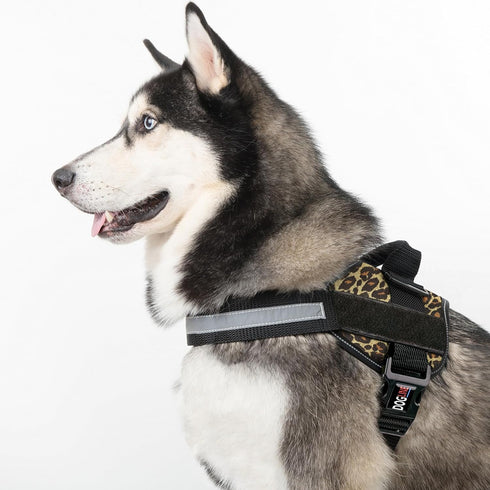 Dogline Reflective No-Pull Adjustable Harness with Handle for Walking, Training, Breathable, No-Choke Vest for Small,