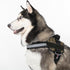 Dogline Reflective No-Pull Adjustable Harness with Handle for Walking, Training, Breathable, No-Choke Vest for Small,