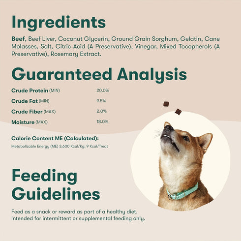 15oz Jinx Beef Bites Jerky Dog Treats - Soft & Chewy, All Natural Dog Jerky Treats with Grass-Fed Beef - Pet Products