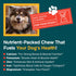 Extra Large Elk Antler for Very Large Dogs - Grade A Natural Chews for Aggressive Chewers