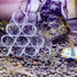 6-Tube Fish Shrimp Feeder Glass Breeding Tube, Aquarium Pipe Shelter Tube for Fish Tank Decorations