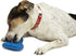 PetSafe Chilly Penguin - Freezable Dog Toy for Small Dogs, Interactive Puzzle with French Vanilla Scent