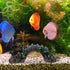 Mipcase Fish Tank Bridge Decor, Underwater Bridge Adorn for Aquarium Decoration, Botanical Reptile Decor