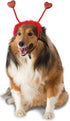 Rubies Red Heart Bopper Dog Costume, Small/Medium Size