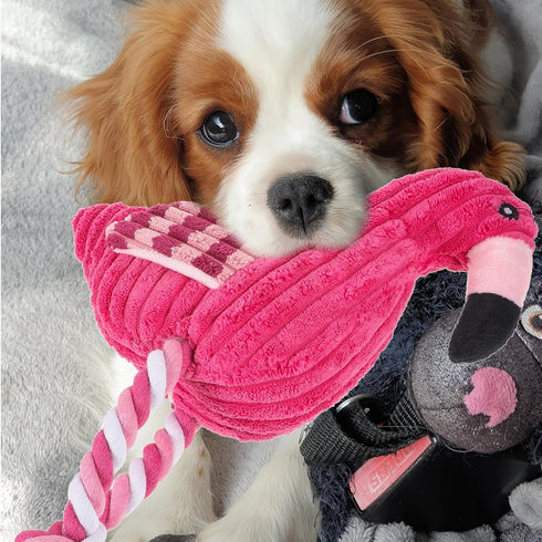 Mipcase Dogman Chew Toys - Small Flamingo Squeaky Toy, Indestructible Cotton Rope Plush Toy for Dogs