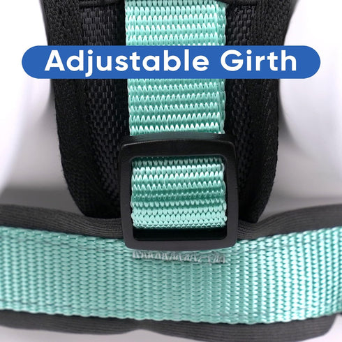 Pawtitas Reflective Dog Harness, Padded Dog Vest for Comfort Control, Great for Walking or Running, Small Teal