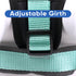 Pawtitas Reflective Dog Harness, Padded Dog Vest for Comfort Control, Great for Walking or Running, Small Teal
