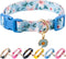 Cotton Dog Collar, Blue Flower Pattern for Boys and Girls, Adjustable for Small to Medium Breed Dogs (XS)