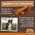 BRUTUS & BARNABY USA Sweet Potato Dog Treats - Grain Free, Cinnamon Pumpkin Crunchy Sticks, Promotes Positive Gut