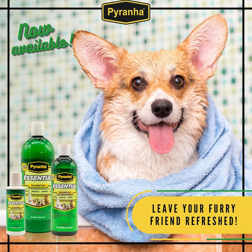 1 PYRANHA Essential Shampoo - Cleaning Refreshing Product for Horse, Dog, Cat & Show Animals with Coconut & Argan Oil