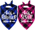 STMK Big Brother Big Sister Dog Bandana, Pregnancy Announcement Plaid Gender Reveal Photo Prop for Dogs
