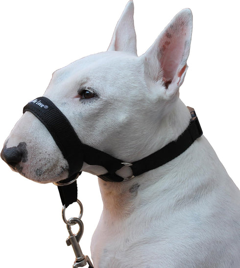 Dog Head Collar Halter Black (XXL 14inch-16inch Snout)