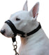 Dog Head Collar Halter Black (XXL 14inch-16inch Snout)