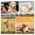 Seeseven 60W Dog Car Seat Cover for Back Seat, Waterproof Back Seat Cover with Zippered Armrest Access, Non Slip Rear