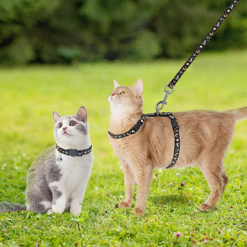 PAWCHIE Cat Harness with Leash and Collar Set - Adjustable H-shaped Harness with Glow in The Dark Pattern