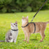 PAWCHIE Cat Harness with Leash and Collar Set - Adjustable H-shaped Harness with Glow in The Dark Pattern