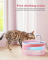 6 3 108oz/3.2L Pink Cat Water Fountain:with Carbon Filters + Sponge Filters - BEMOONY Pet Water Fountain - Water