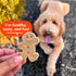 16 oz. Buddy Biscuits Crunchy Dog Treats, Peanut Butter, Box