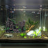 PINVNBY Resin Castle Reptile Habitat Decorations, Realistic Lizard Hideouts Cave Ornament for Chameleon, Snake, Gecko,