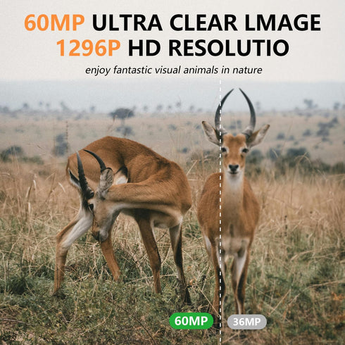 LANTOOCAM 60MP 32GB IP66 120Wide-Angle H.264 MP4 Trail Camera, Hunting Camera with WiFi, TF Card, Night Vision, Motion