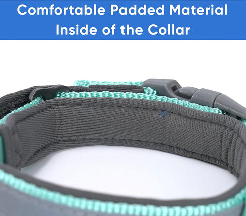 Pawtitas Lumberjack Padded Martingale Collar for Dogs, Soft Neoprene, Reflective Band, Medium Teal, Fits Small and
