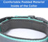 Pawtitas Lumberjack Padded Martingale Collar for Dogs, Soft Neoprene, Reflective Band, Medium Teal, Fits Small and
