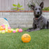 K9 Pack 4 Hyper Pet MINI Tennis Balls for Dogs Safe Dog Toys & Tennis Balls for Exercise, Training, Hyper Pet Kannon