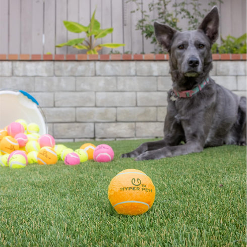 Hyper Pet Tennis Balls for Dogs, Interactive Dog Toys for Exercise and Training - 4 Pack 2.5" Orange