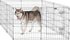 Pet Trex 24" Exercise Playpen for Dogs, Eight 24" x 30" High Panels with Gate
