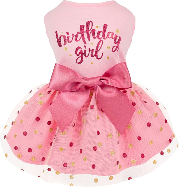 Fitwarm Pink Birthday Girl Dog Tulle Dress, Dog Clothes for Small Dogs Girl, Cat Apparel, XX-Small