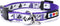 Pawtitas Glow In The Dark Cat Collar, Purple Lucky, with Safety Buckle and Bell