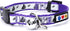 Pawtitas Glow In The Dark Cat Collar, Purple Lucky, with Safety Buckle and Bell