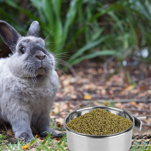 Hypeety Stainless Steel Food Water Bowl for Pet Bird Crates, Cages, Coop, Dog, Cat, Parrot, Rabbit (Medium, 4.7 * 2.1in)